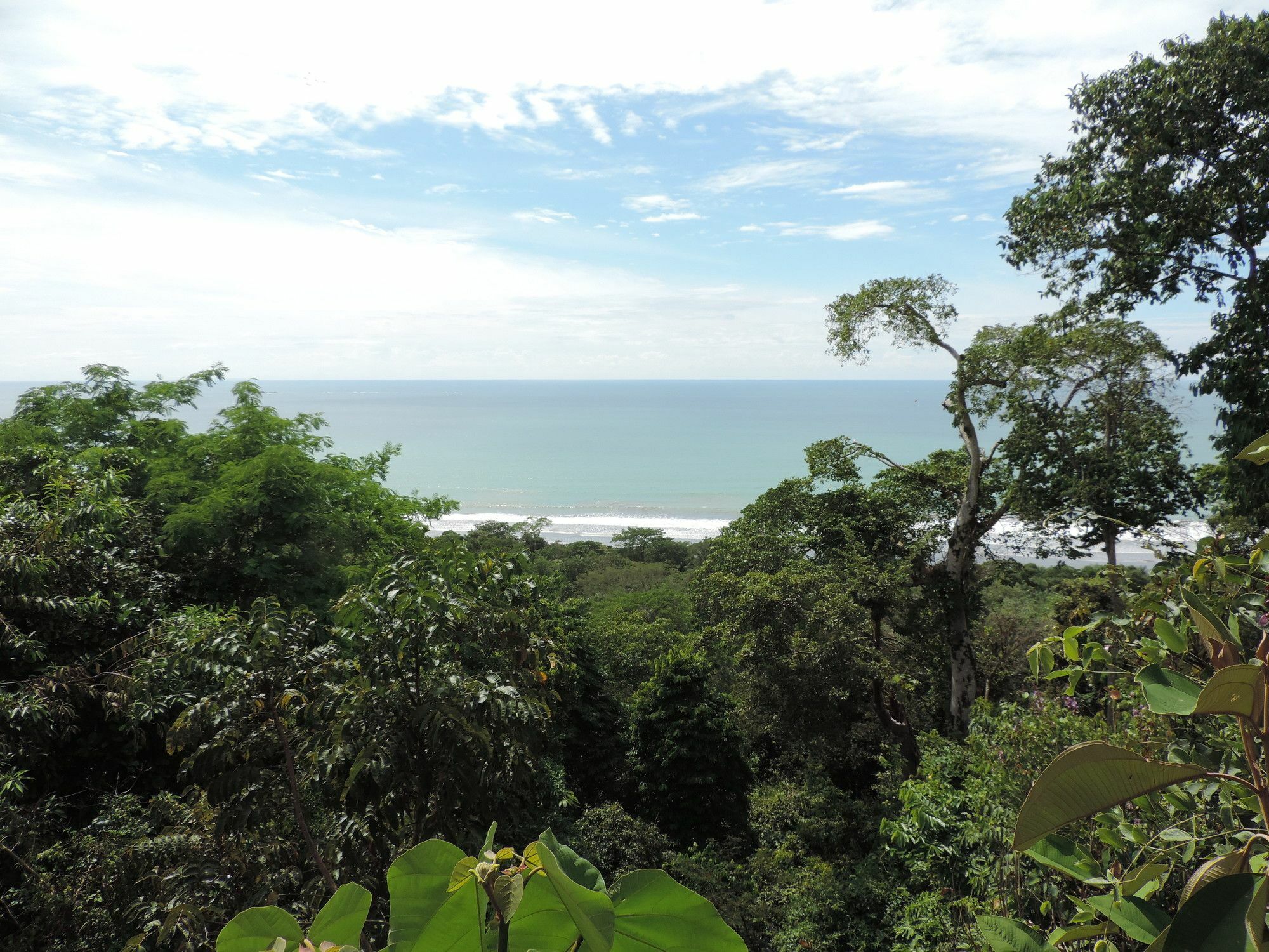 Ranchos Remo Lodge Uvita Eksteriør billede